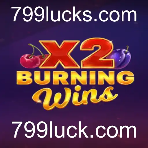 Descubra o Fascinante Mundo de BurningWinsX2
